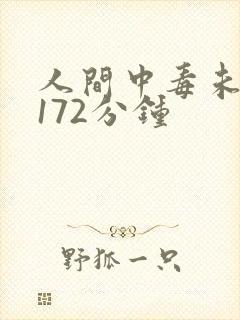 人间中毒未删减172分钟