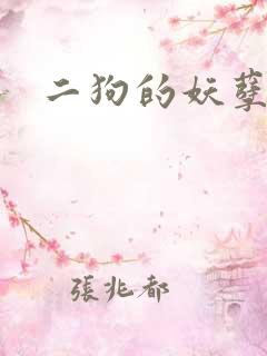 二狗的妖孽人生