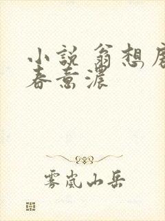 小说 翁想房中春意浓