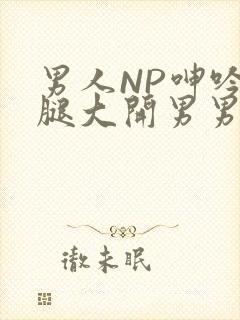 男人NP呻吟双腿大开男男小说