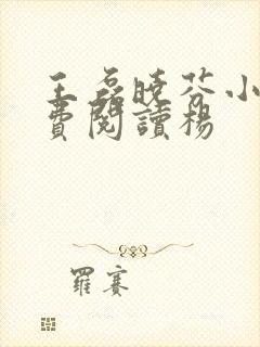 王磊晓芬小说免费阅读杨