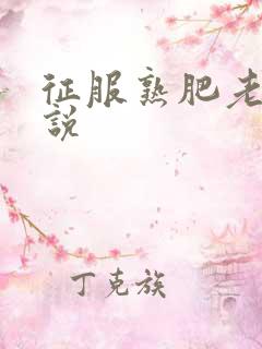 征服熟肥老妇小说