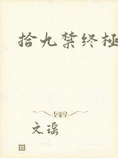 拾九禁终极直播