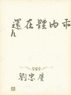 还在体内乖吃饭h