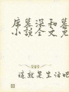 席慕深和慕清泠小说全文免费阅读