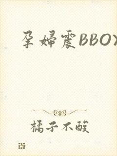 孕妇震BBOX