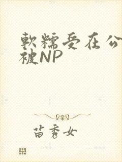 软糯受在公交车被NP