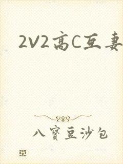 2V2高C互妻