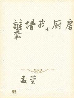 谁借我厨房第二季