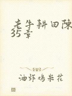 老牛耕田陈雪435章