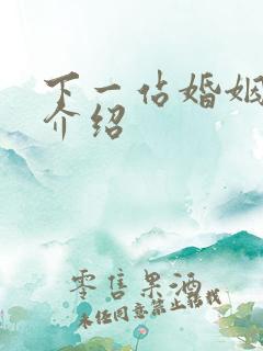 下一站婚姻剧情介绍