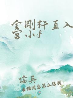 金刚杵直入莲花宫小f