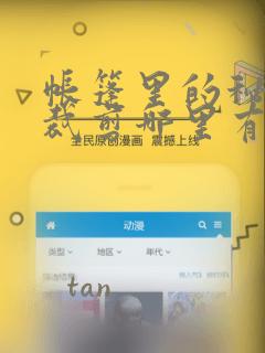 帐篷里的秘密未裁剪哪里有：结局+番外