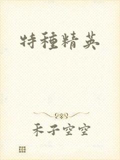 特种精英