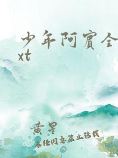 少年阿宾全集txt