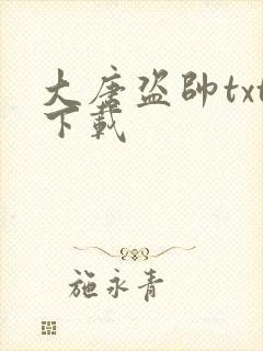 大唐盗帅txt下载