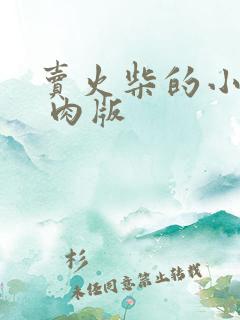 卖火柴的小男孩 肉版