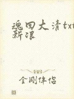 魂回大清txt新浪
