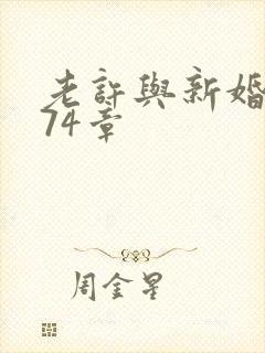 老许与新婚小倩74章