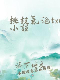 桃枝气泡txt小说