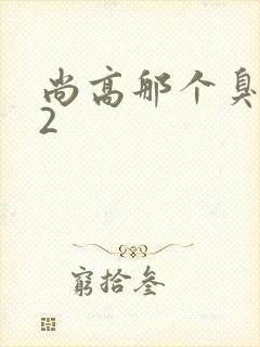 尚高那个臭小子2