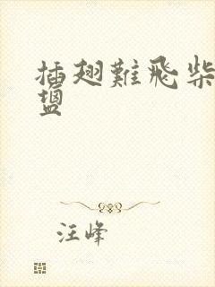 插翅难飞柴米油盐