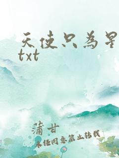 天使只为星夜哭txt