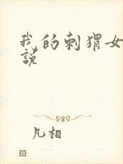 我的刺猬女孩小说