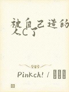 被自己造的机器人C了