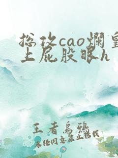 总攻cao烂皇上屁股眼h
