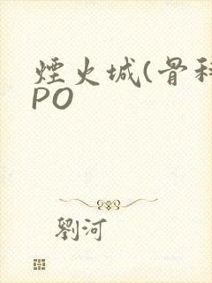 烟火城(骨科)PO