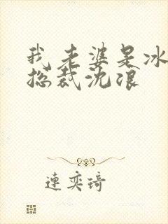 我老婆是冰山女总裁沈浪