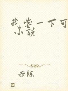 我尝一下可以吗 小说