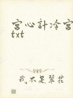 宫心计冷宫皇后txt