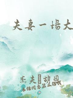 夫妻一场大结局