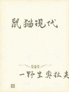 鼠猫现代