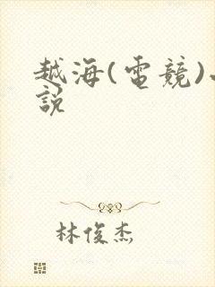 越海(电竞)小说