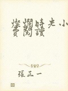 灿烂时光小说免费阅读