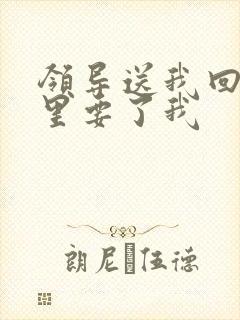 领导送我回家车里要了我