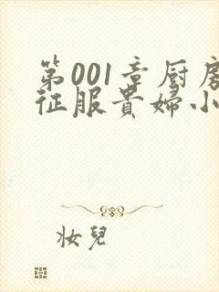 第001章厨房征服贵妇小说