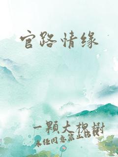 官路情缘