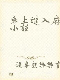 车上进入麻麻的小说