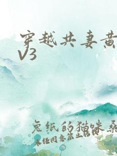 穿越共妻黄暴1V3