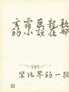 玄霜巨龙敖无极的小说在哪里看