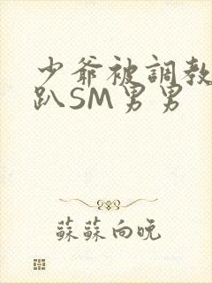 少爷被调教室跪趴SM男男