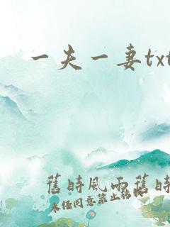 一夫一妻txt