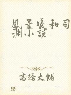 凤晨曦和司鸿颜渊小说