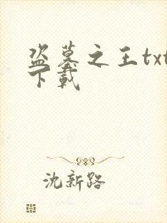 盗墓之王txt下载