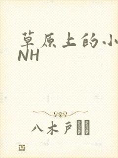 草原上的小公主NH