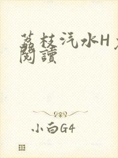 荔枝汽水H免费阅读